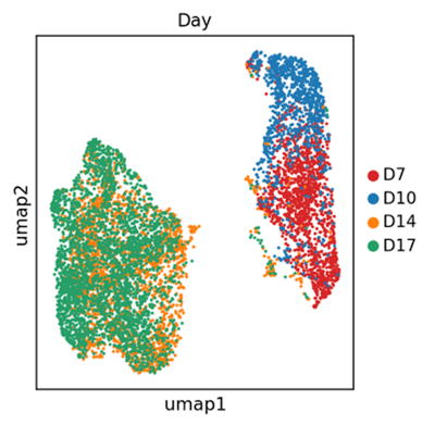 bitbio-ioSensory_Neurons-scRNA-mature-correct-key-small-V2