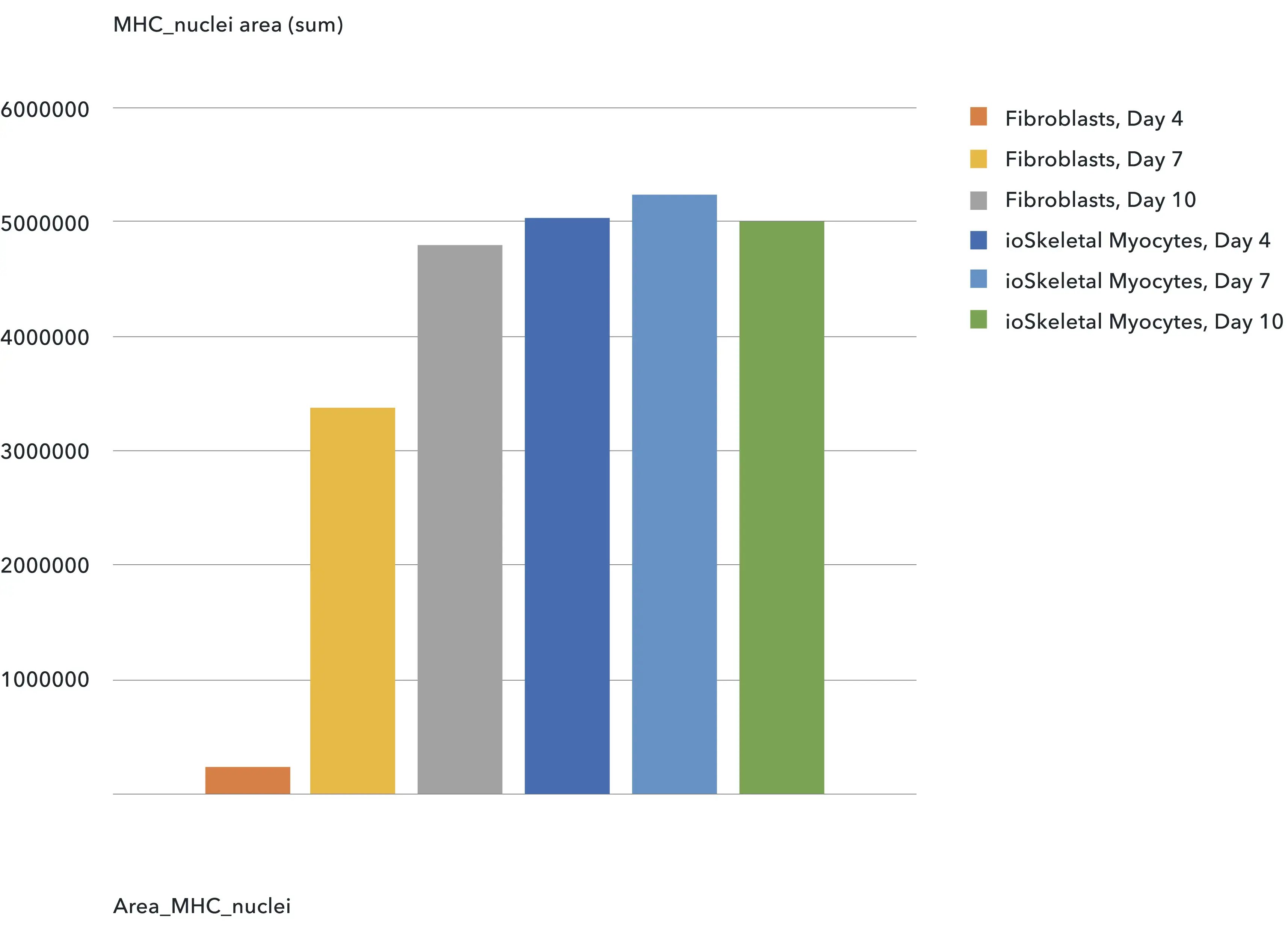 MHC positive cells-1