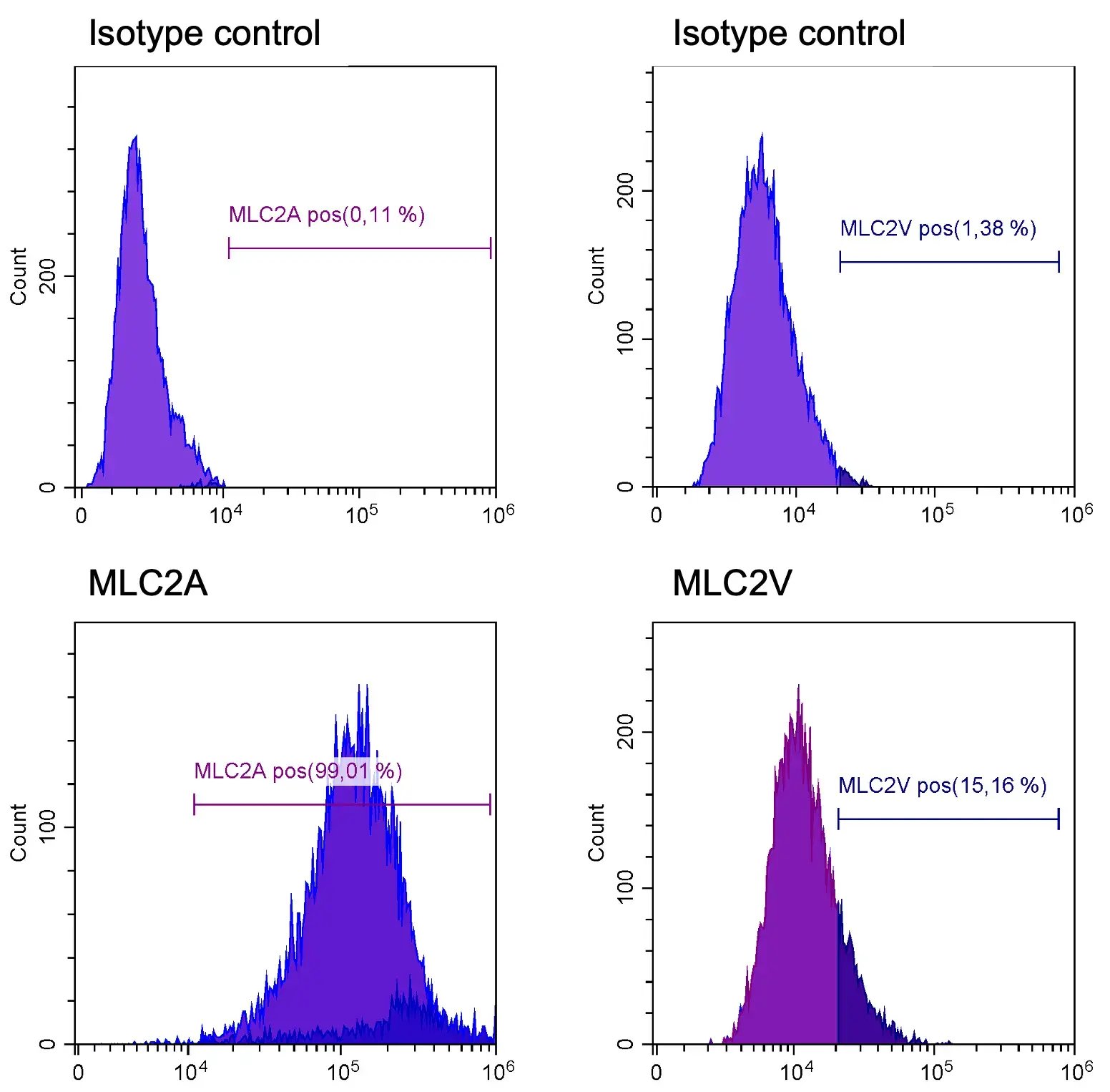 myrcell-atrial-cardiomyocytes-protein-expression-mlc2a-flow-cytometry