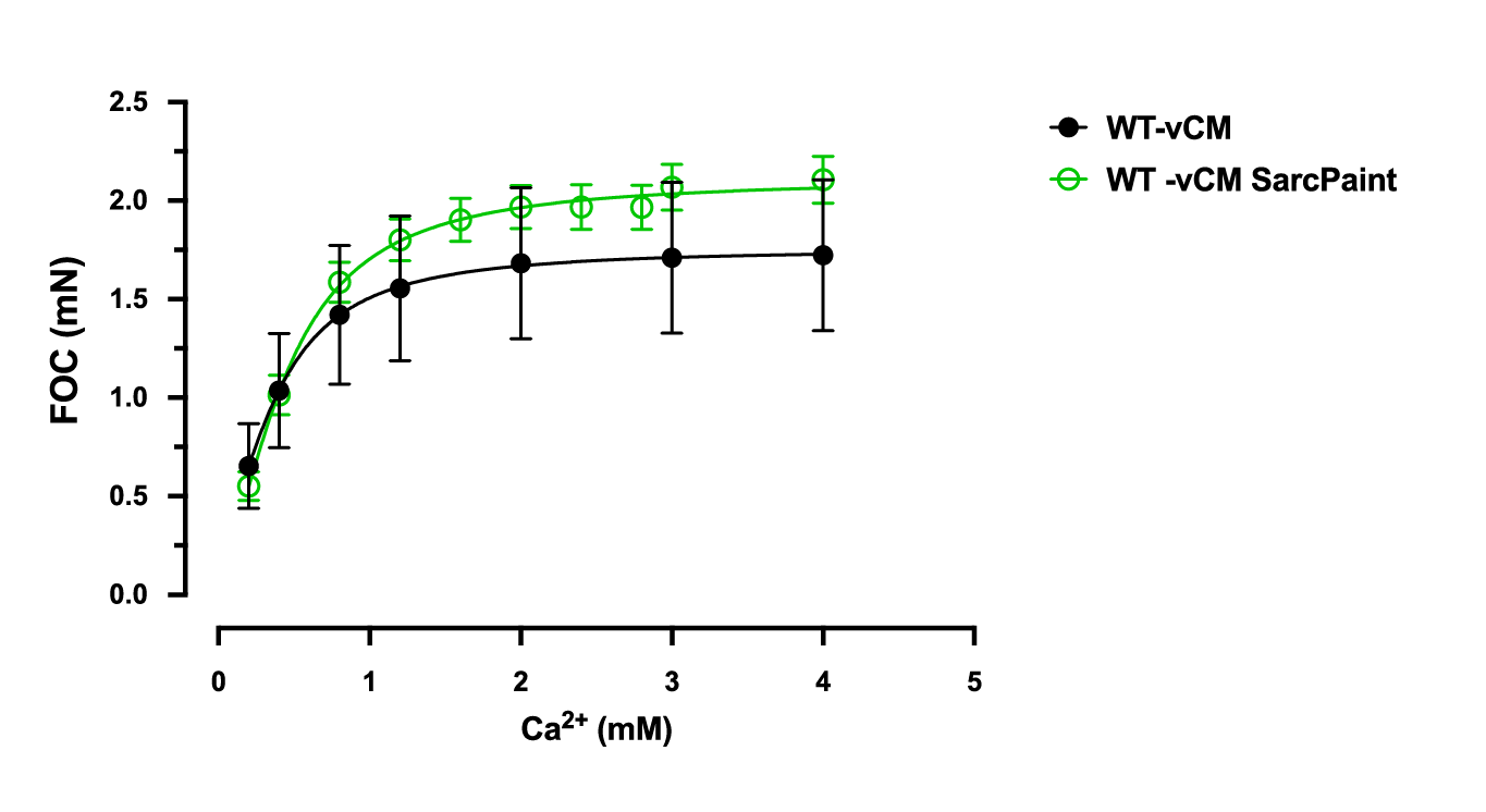 myrcell-ventricular-cardiomyocyte-ehm-contractility-wt-sarcpaint