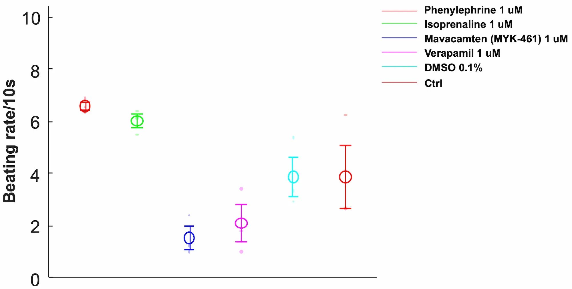 myrcell-ventricular-cardiomyocytes-sarcpaint-phenotypic-screening
