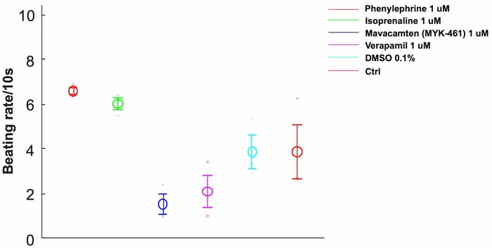 myrcell-ventricular-cardiomyocytes-sarcpaint-phenotypic-screening