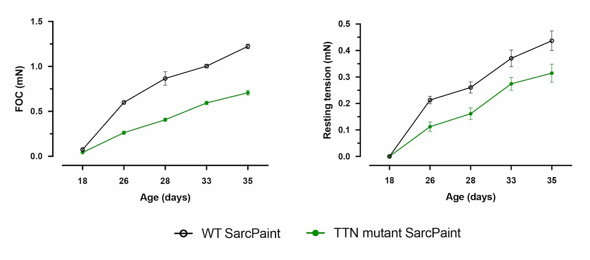 myrcell-sarcpaint-ventricular-cardiomyocytes-ttn-mutation-ehm-tissue-mechanics