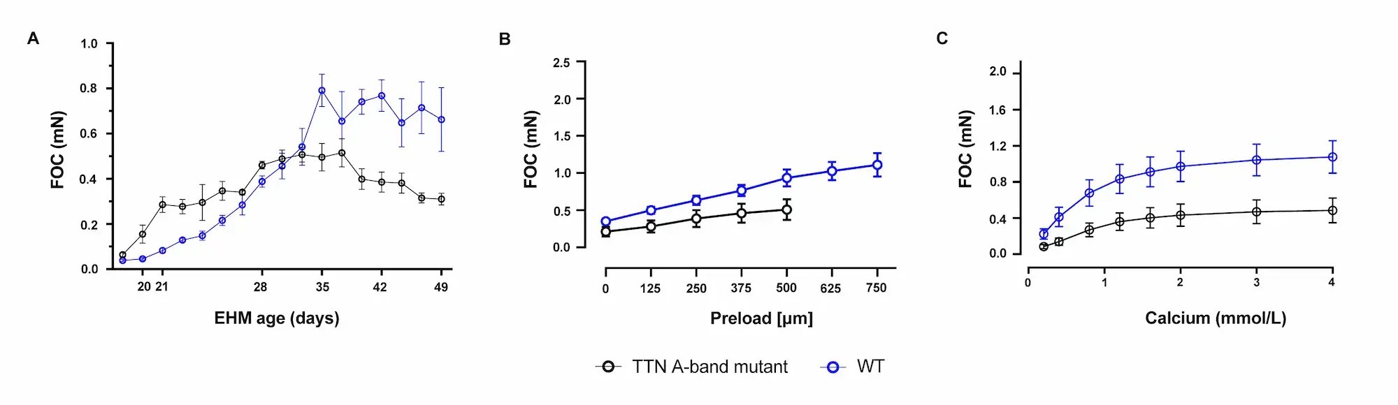myrcell-ventricular-cardiomyocytes-ttn-ehm-longitudinal-optical-tracking