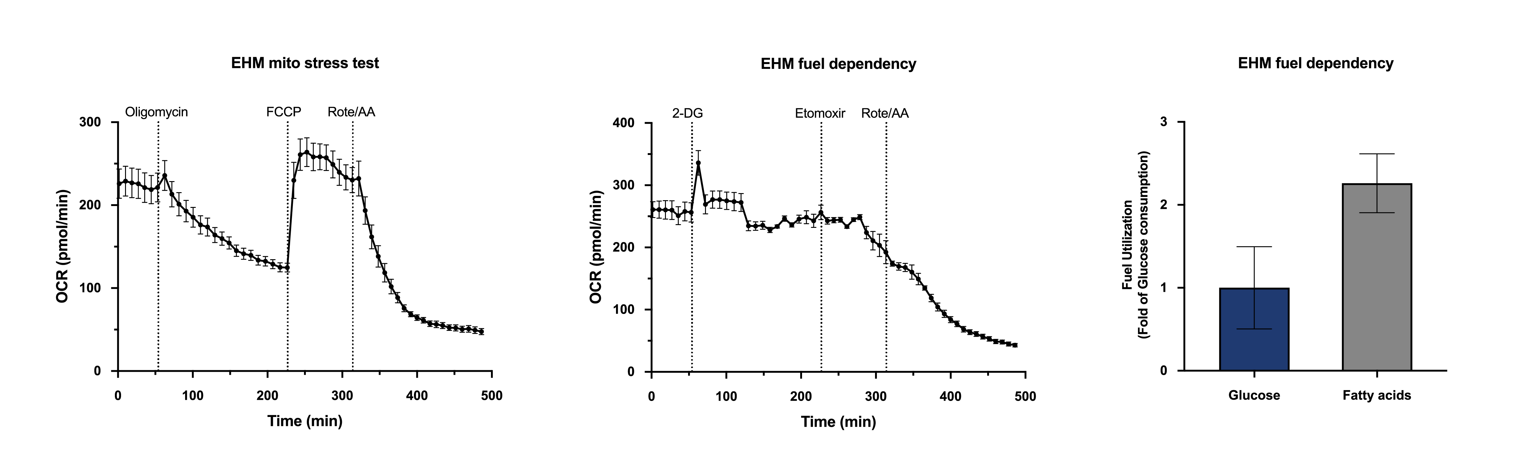 myrcell-ventricular-cardiomyocytes-ehm-metabolic-flexibility-oxidative-maturation