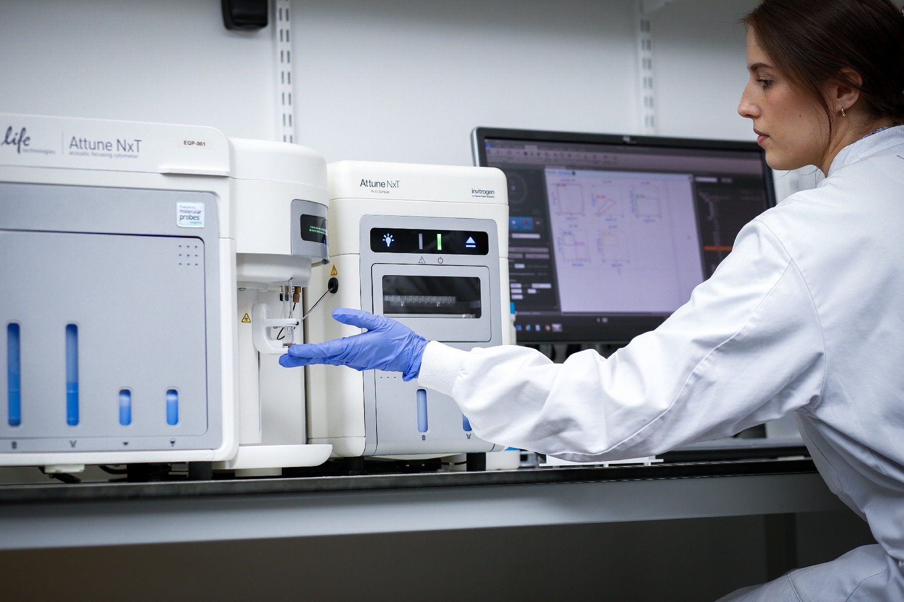 Improving physiological relevance in neurological disease drug development | How Concept Life Sciences is building more reliable, consistent in vitro assays using ioMicroglia