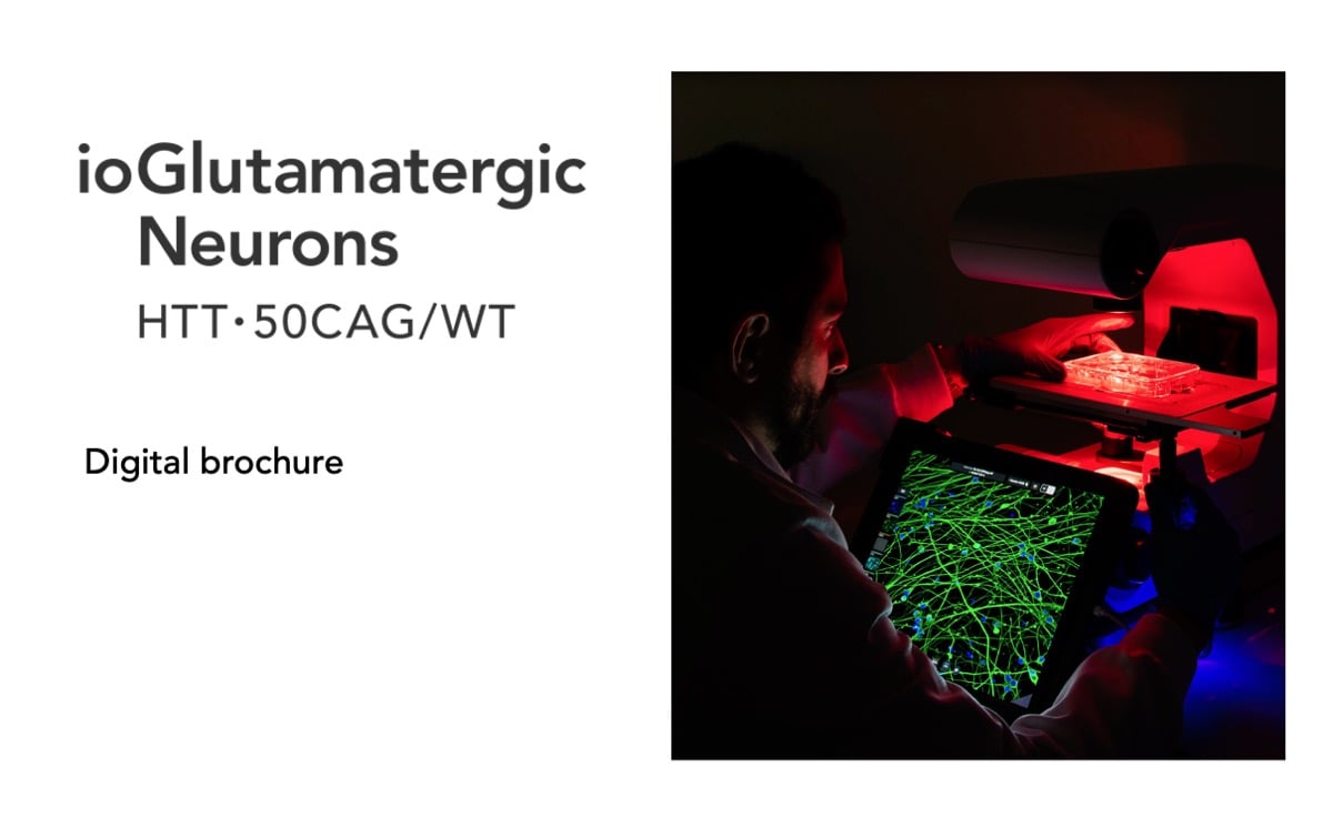 ioGlutamatergic Neurons HTT 50CAG/WT™ 