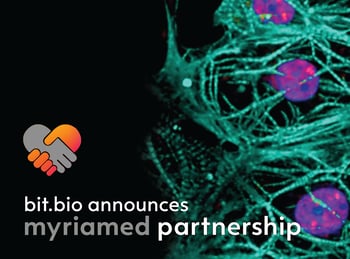bit.bio brings human cardiomyocytes to its drug discovery portfolio through partnership with myriamed