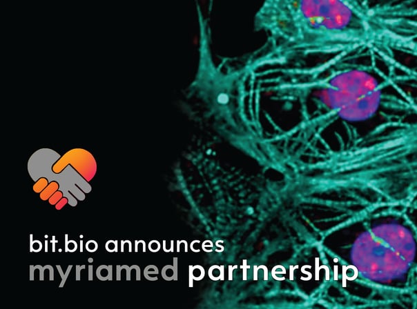bit.bio brings human cardiomyocytes to its drug discovery portfolio through partnership with myriamed