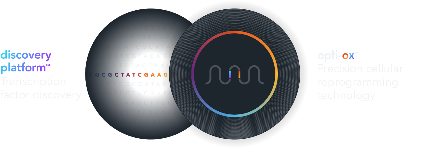 bit.bio–venn_diagram–V19-Desktop