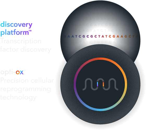 bit.bio–venn_diagram–V19-Mobile