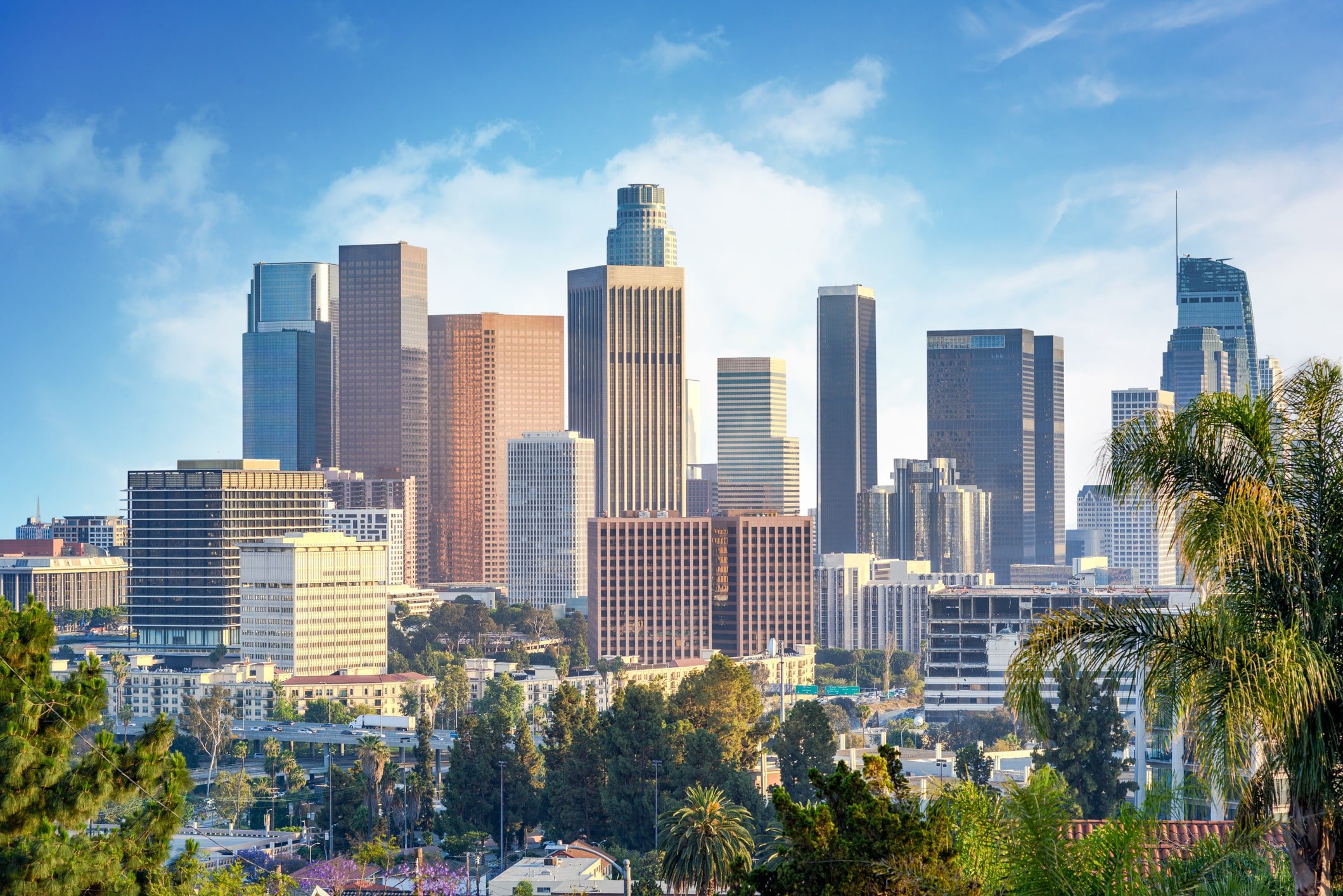 TD Cowen’s 3rd Annual Tools/Dx Revolution Conference