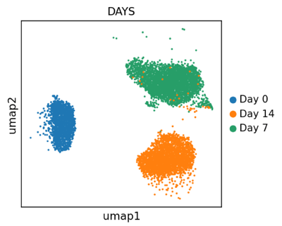 ioGABAergic Neurons UMAP scRNAseq day 0-14