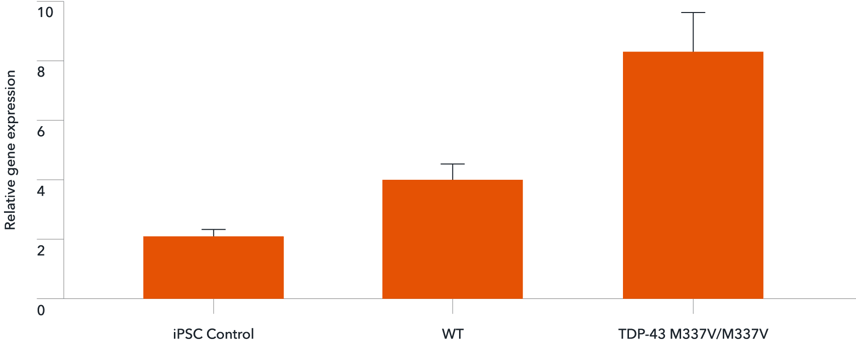 bit.bio TARDBP (TDP-43) gene expression in Glutamatergic Neurons TDP-43 M337V hom