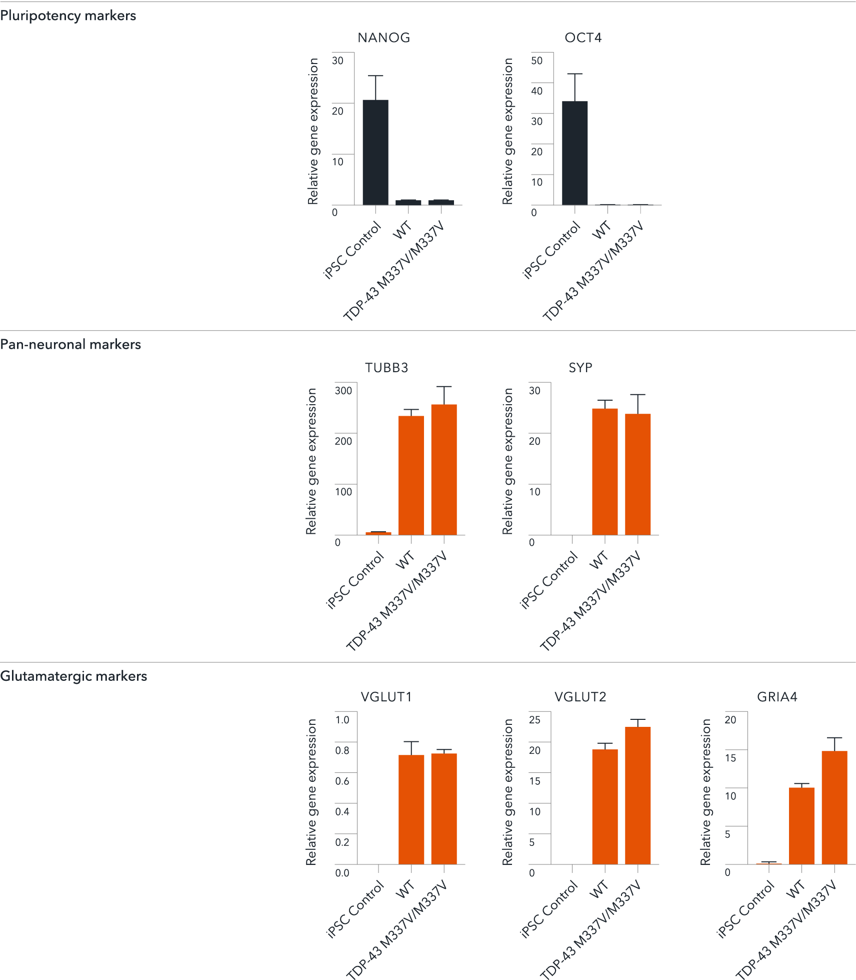 ioGlutamatergic_neurons-TDP43-M337V-M337V-rt-qPCR