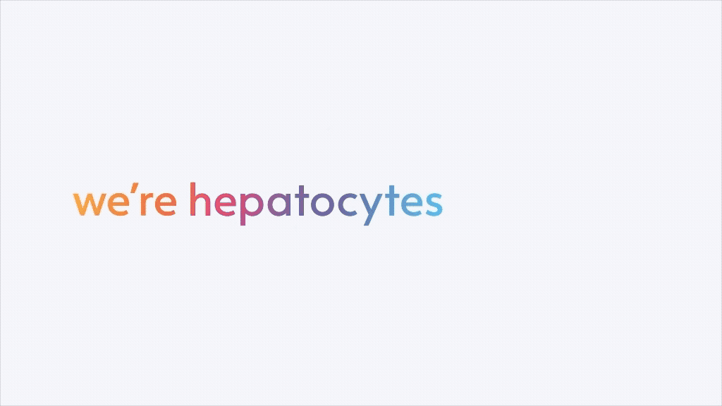 bit.bio unveils ioHepatocytes to fuel liver safety testing for drugs by solving the challenge of human liver cell availability