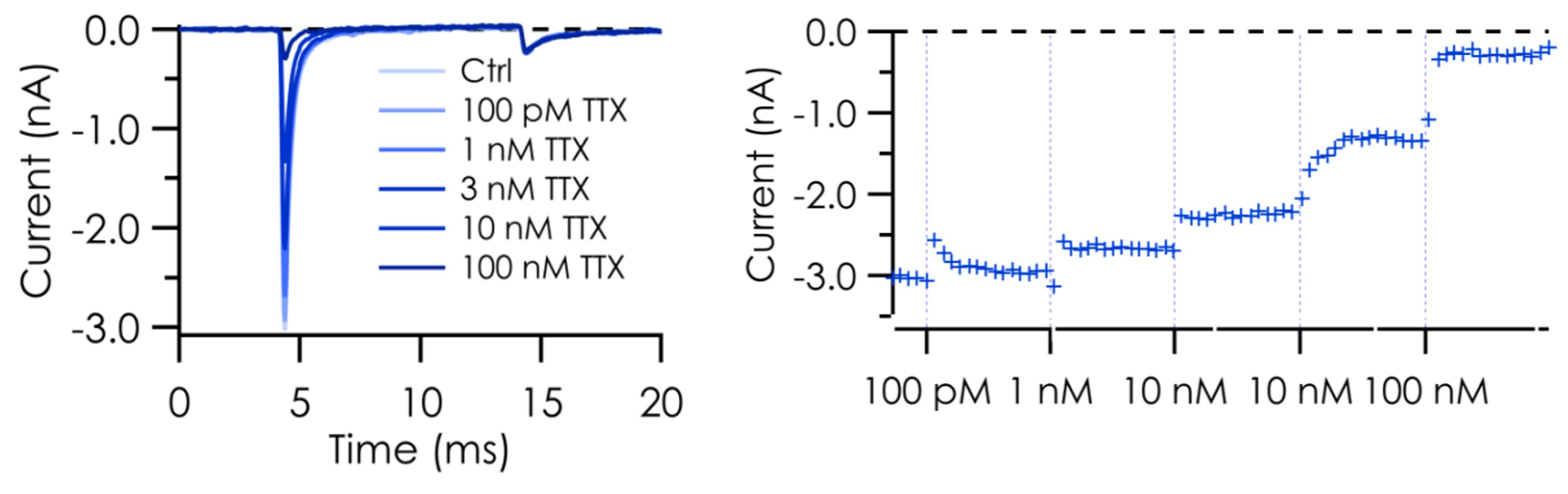 ioSensory Neuron Nanion data TTX resistence. NaV1.9 Nav1.8 SCN10A SCN11A