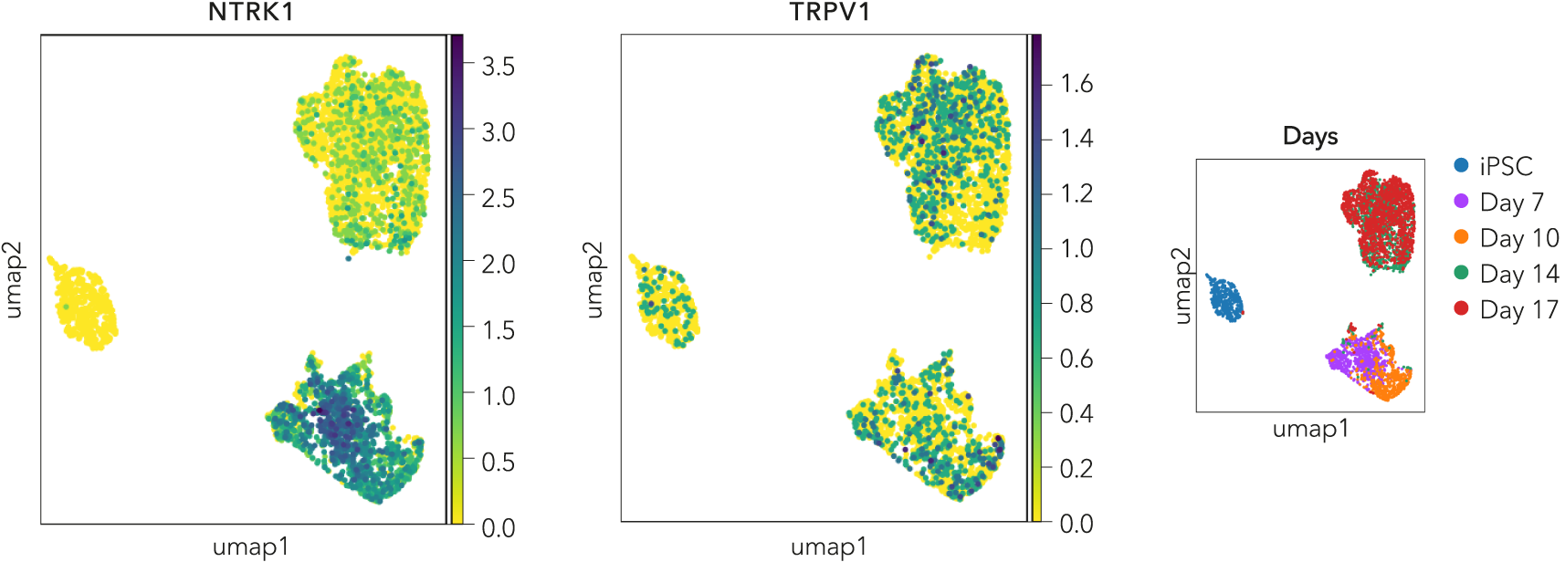 FINAL scRNA Seq nociceptor figure_Morse