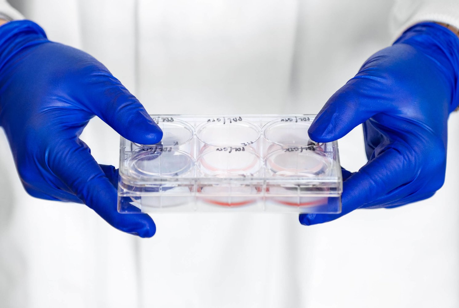 Primary cells vs. cell lines: Is it not time for something better?
