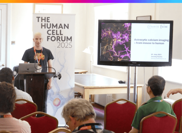 Astrocytic calcium imaging – from mouse to human systems