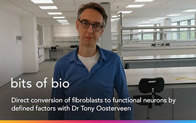 Direct conversion of fibroblasts to functional neurons by defined factors