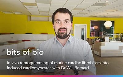 In vivo reprogramming of murine cardiac fibroblasts into induced cardiomyocytes