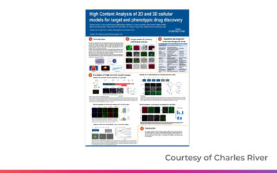 High Content Analysis of 2D and 3D cellular models for target and phenotypic drug discovery