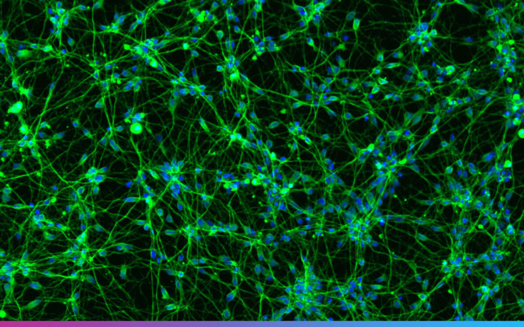 Reprogramming the stem cell for a new generation of cures