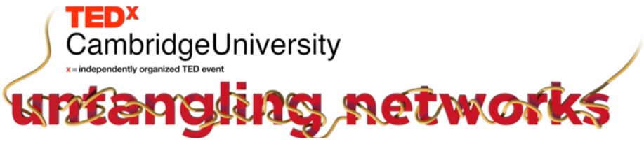Tedxcambridgeuniversity Untangling Networks