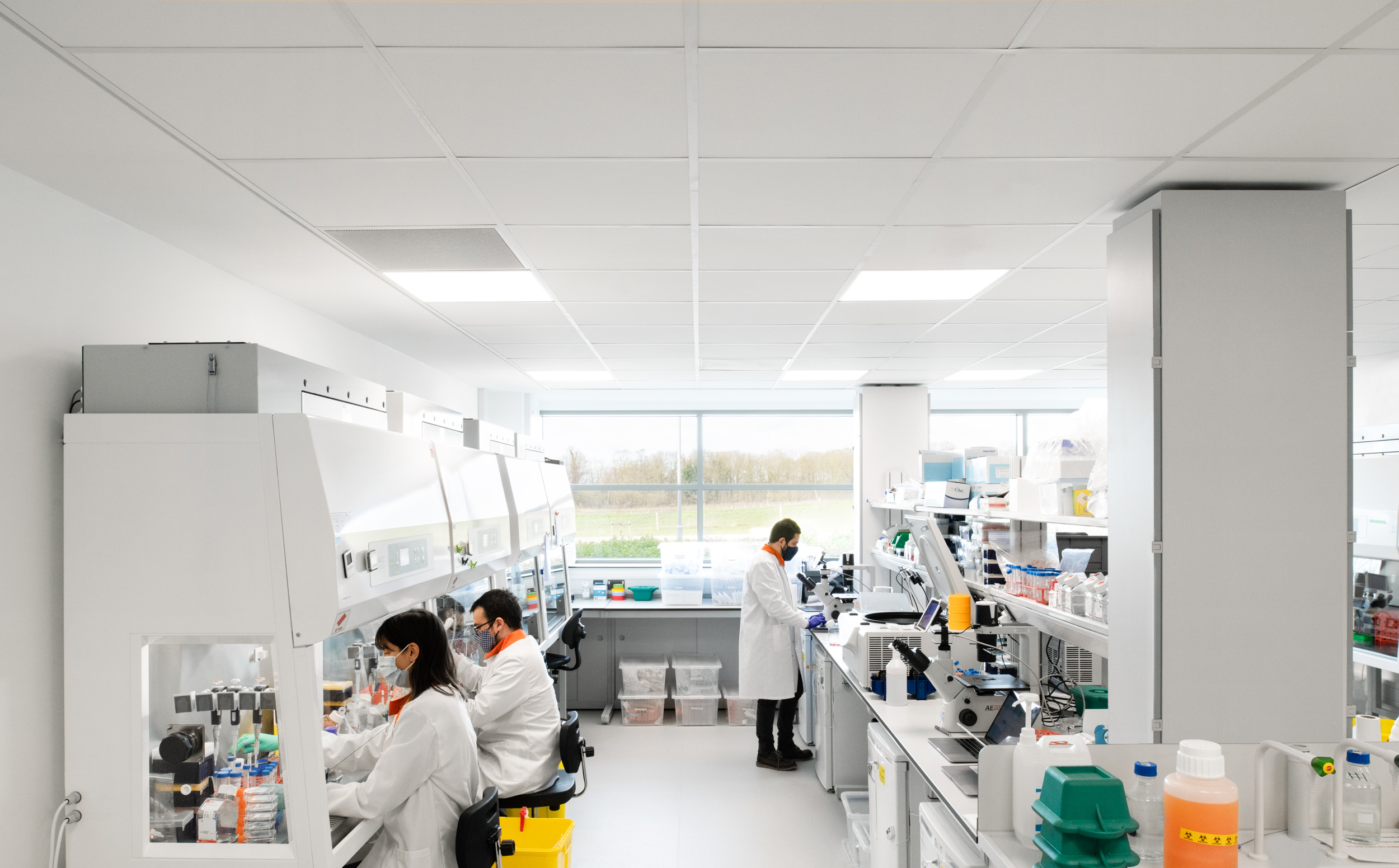 Consistent, Scalable Human Cells for Cell Therapies | bit.bio