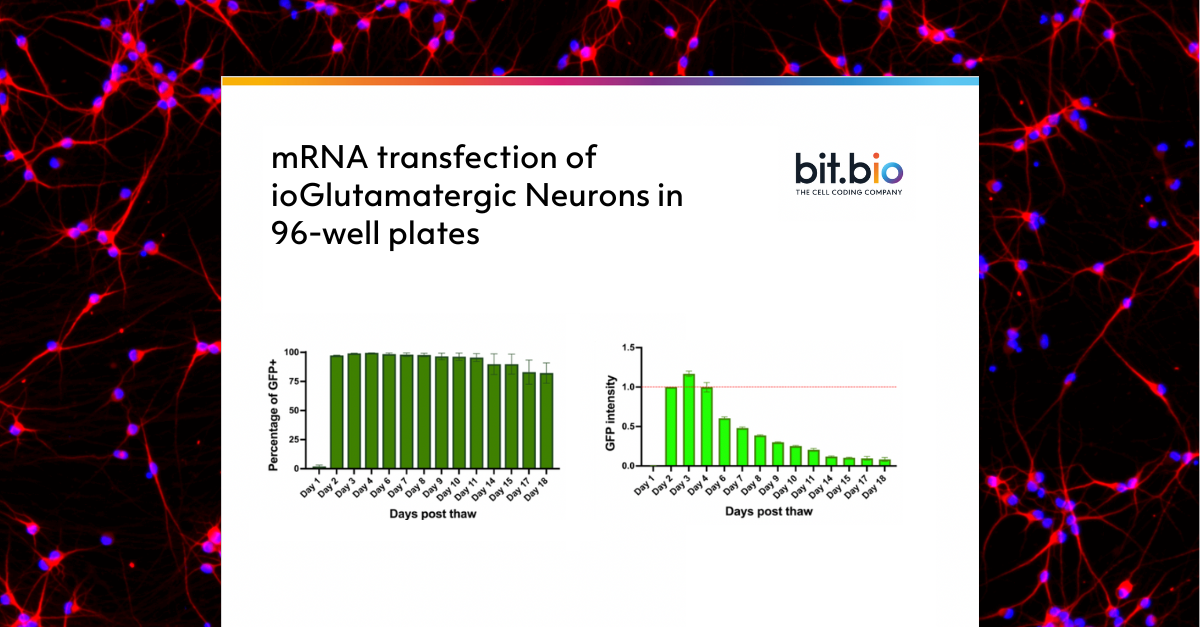 Transfection protocol ioGluts_post2