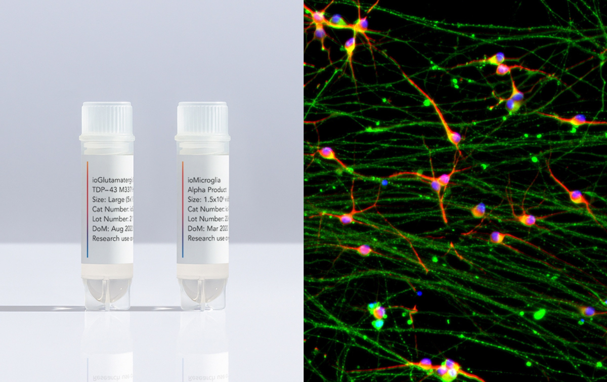 ioMicroglia early access and disease model for neurodegenerative disease