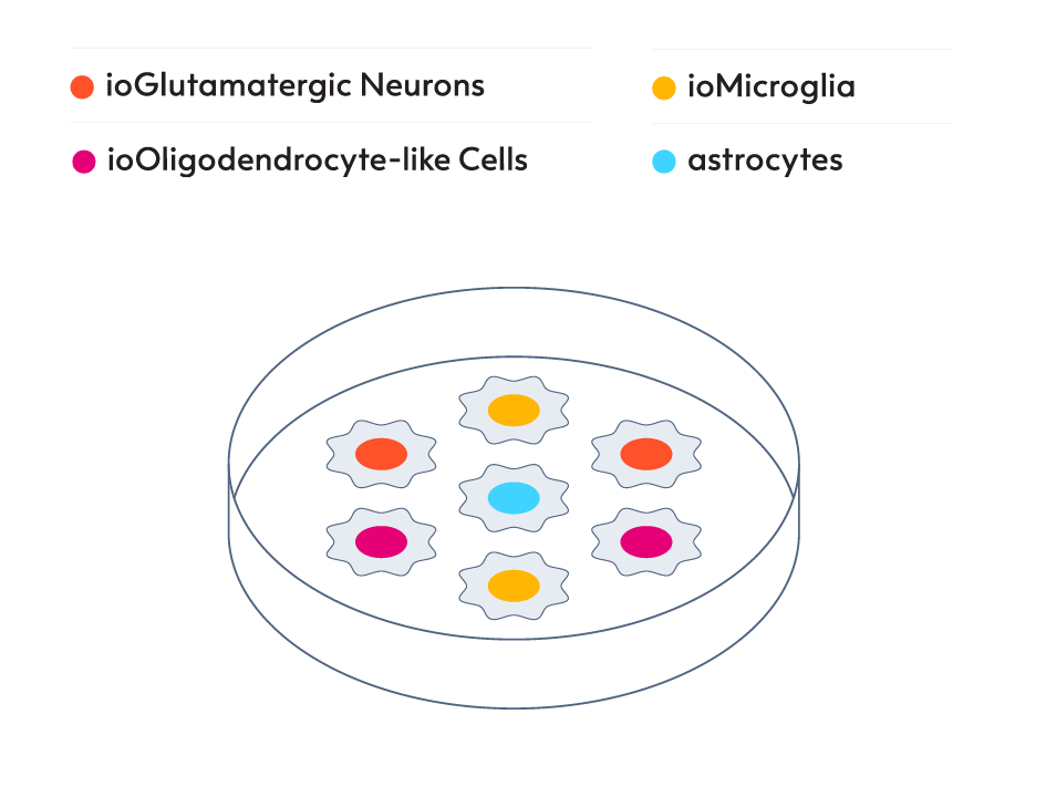 PetriDish-4-Glut-Oli-Mic-Astro