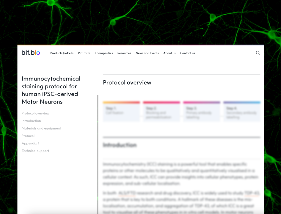 ioMotor-2-Immunostaining-protocol-v2
