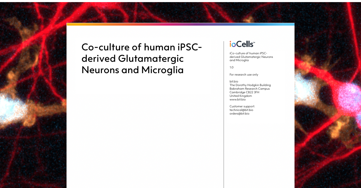 gluts-mg-co-culture protocol 