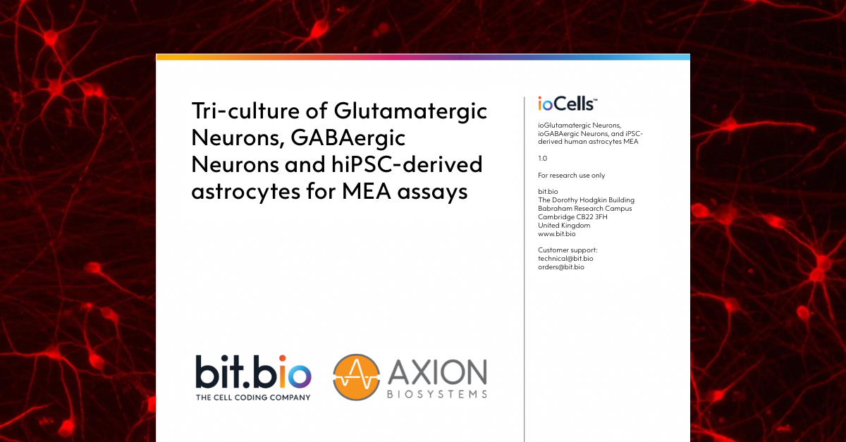 glutamatergic neurons-GABAergic neurons-astrocytes MEA tri culture protocol