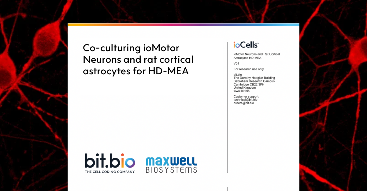 motor neurons-rat astrocytes MEA co culture protocol