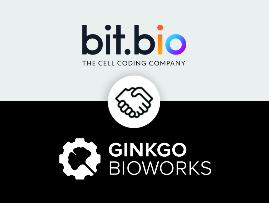 Ginko and bitbio