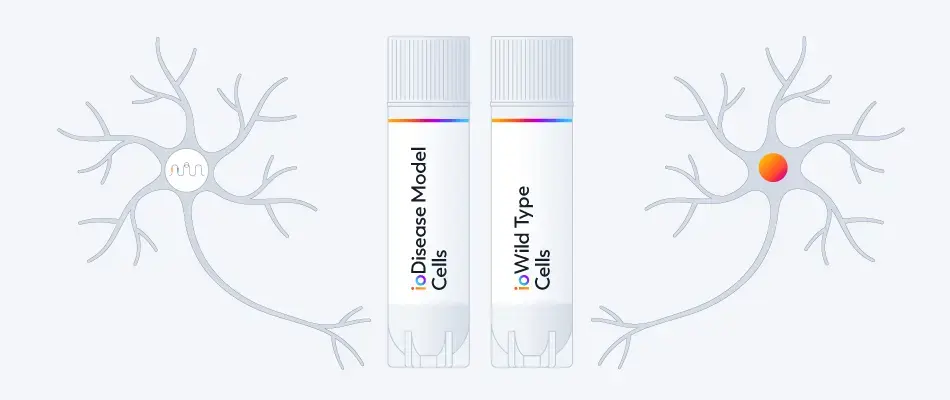 Modeling-disease-with-isogenic-control