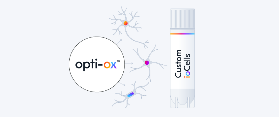 Transcription-factor-based-cell-programming-any-hiPSC-derived-cell
