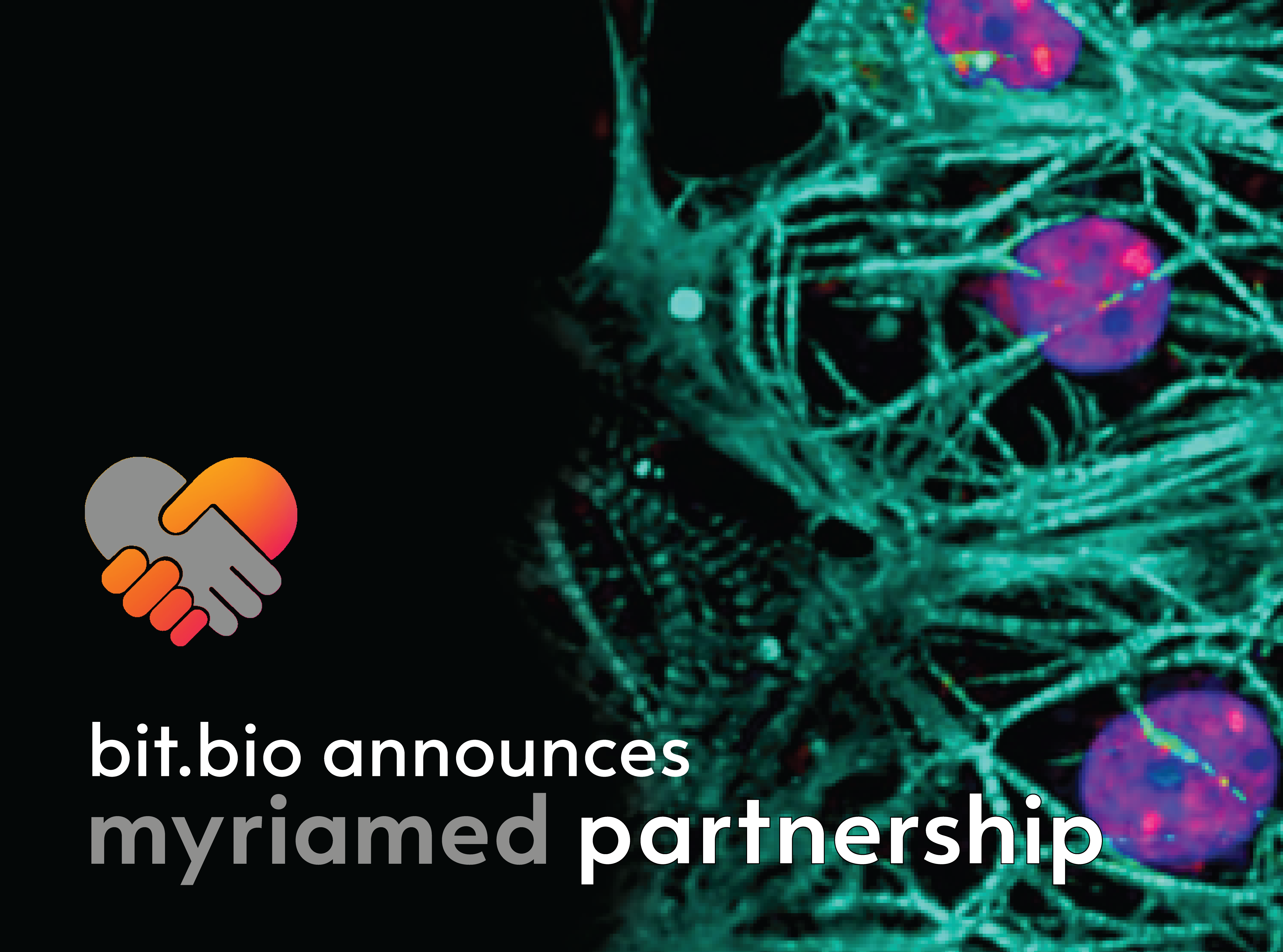Partnering to expand bit.bio's cell portfolio with functional human cardiomyocytes