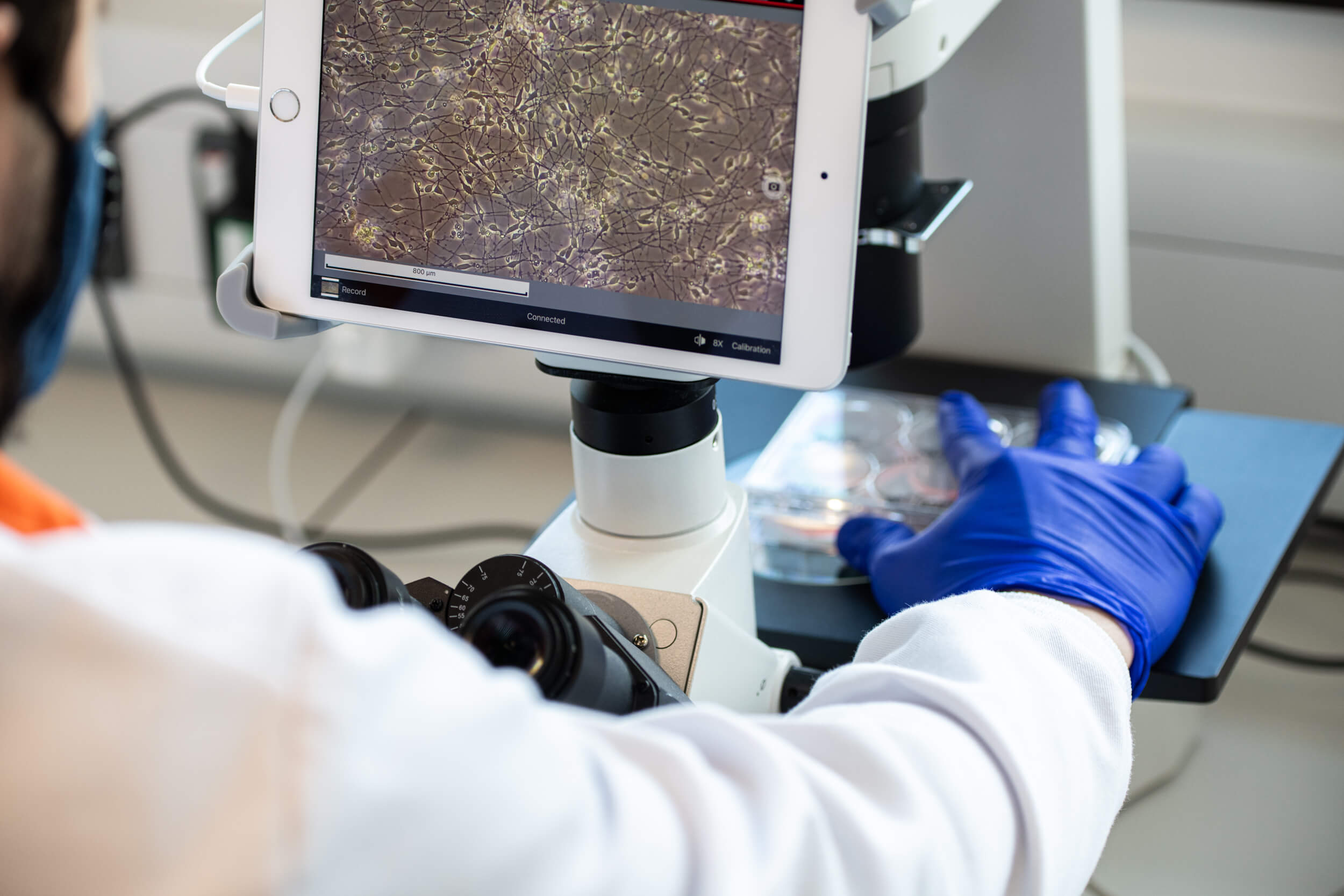 Reproducibility in stem-cell based research